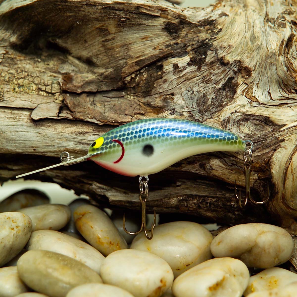 BR-2D_Blue_Grass_Shad.jpg